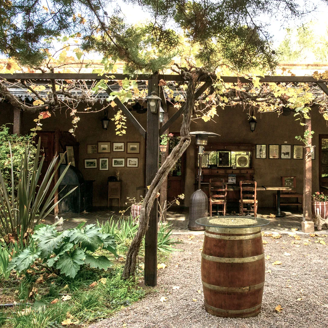 Bodega Alandes